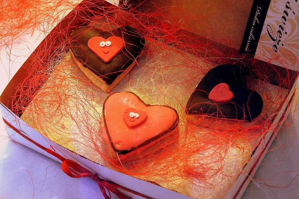 happy facial expression photo — 00234 Süße Kekse zum Valentinstag, Sanok 2013